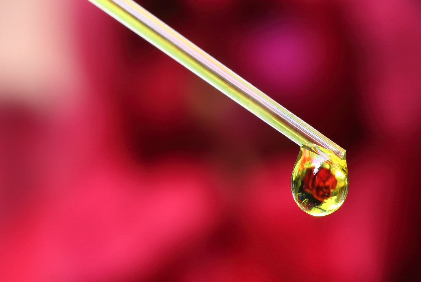 Immune Lift for Littles