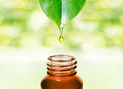 Kundalini Oil or Elixir